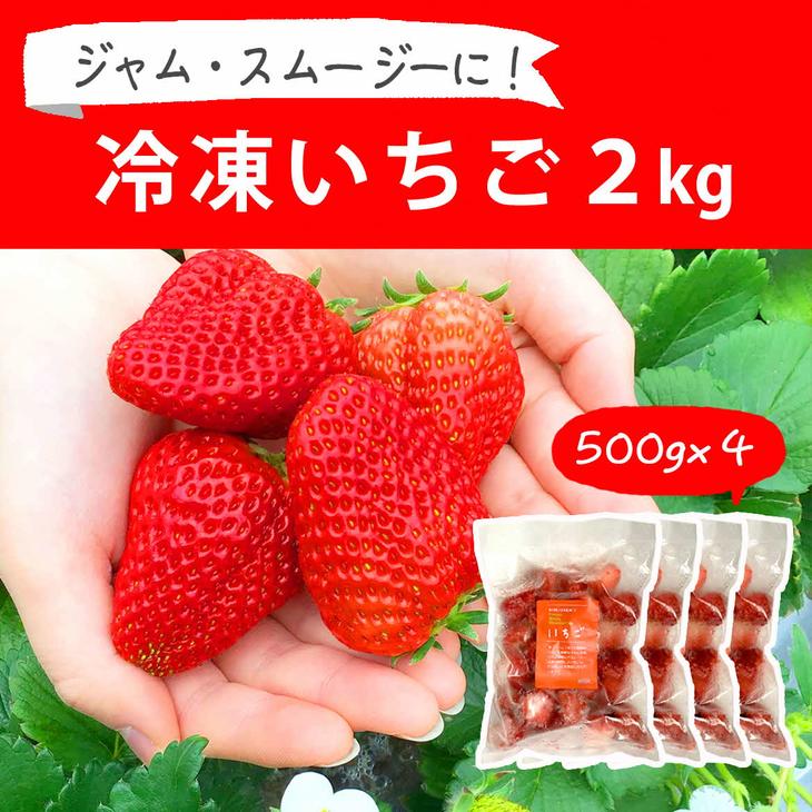 摘みたて!便利な小分け!冷凍いちご2kg(500g×4) | いちご 苺 イチゴ 2キロ 冷凍 フルーツ 小分け おいしい ジャム スムージー かき氷 いばらキッス 紅ほっぺ よつぼし 恋みのり 贈答 贈り物 プレゼント 茨城県 古河市 直送 農家直送 産地直送 _BI09