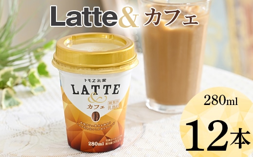 latte& カフェ 12本 ※着日指定不可 | ラテアンド カフェラテ 珈琲 コーヒー ともえ トモエ トモヱ乳業 牛乳 みるく ミルク 手軽 ギフト 贈答 贈り物 プレゼント お祝 ご褒美 記念品 _DT03