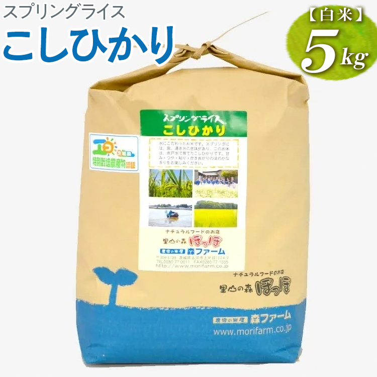 [新米]スプリングライス こしひかり (白米)5kg | 米 こめ コメ 5キロ 精米 白米 こしひかり コシヒカリ 古河市産 茨城県産 取り寄せ お取り寄せ ギフト 贈答 贈り物 プレゼント お中元 お歳暮 茨城県 古河市 直送 農家直送 産地直_BI25