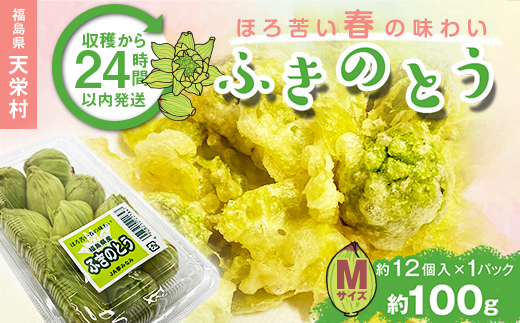 収穫から24時間以内に発送!ほろ苦い春の味わい「ふきのとう」Mサイズ1パック100g(約12個) F21T-349