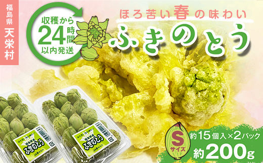 収穫から24時間以内に発送!ほろ苦い春の味わい「ふきのとう」Sサイズ200g(約30個) F21T-352