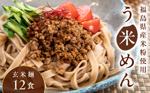 グルテンフリー 米粉で作った麺「う米めん」玄米タイプ12食入り F21T-245