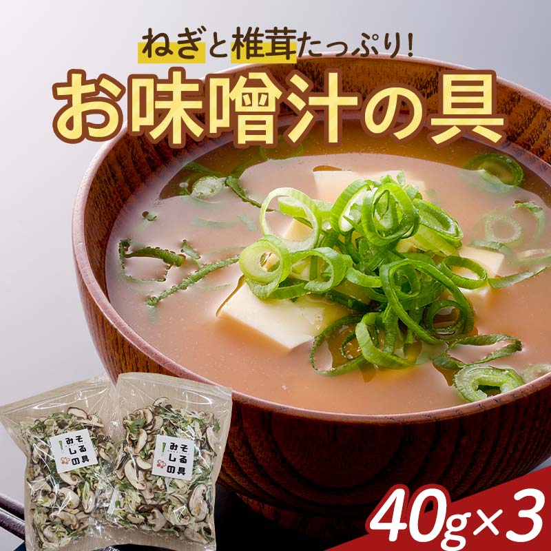 天栄村名産のねぎと椎茸たっぷり!お味噌汁の具 40g×3パック F21T-323