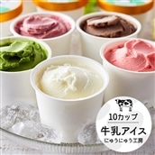 アイスクリーム詰め合わせ（10個）012AE01N.／アイス スイーツ デザート 牛乳アイス ミルク にゅうにゅう工房 冷凍 セット 冷菓