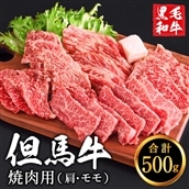 但馬牛経産牛　焼肉用（肩・モモ）500ｇ　010AA05N.／焼肉セット 黒毛和牛 いちかわ精肉店 経産牛 牛肉 国産 bbq バーベキュー 焼き肉セット アウトドア キャンプ 冷凍 焼き肉用