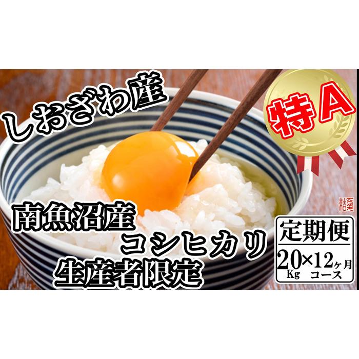 【令和7年産】【定期便／20kg×12ヶ月】生産者限定 契約栽培 南魚沼しおざわ産コシヒカリ【2025年10月上旬より順次発送予定】