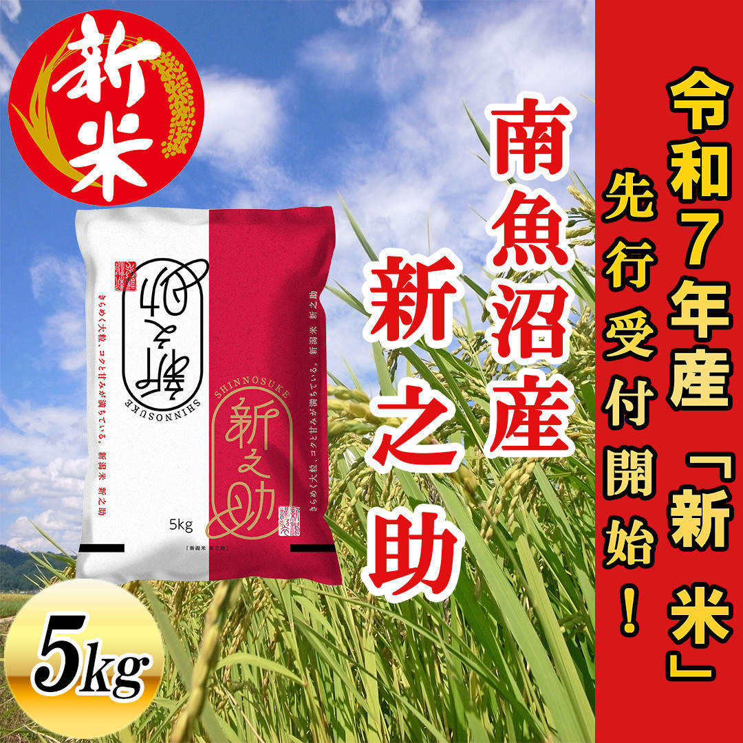 【令和7年産新米先行予約】南魚沼産新之助5kg【2025年10月下旬より順次発送予定】