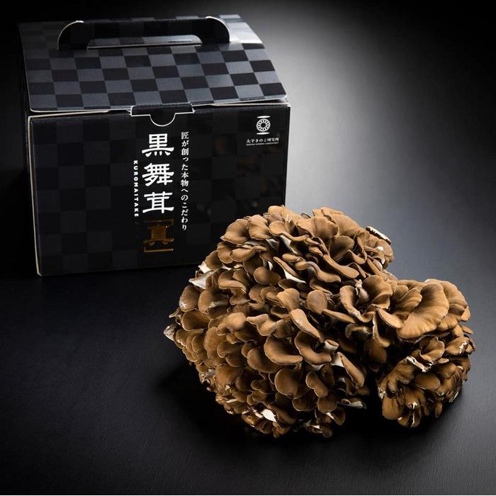 大平きのこ研究所の大黒舞茸「真」【贈答用】700g