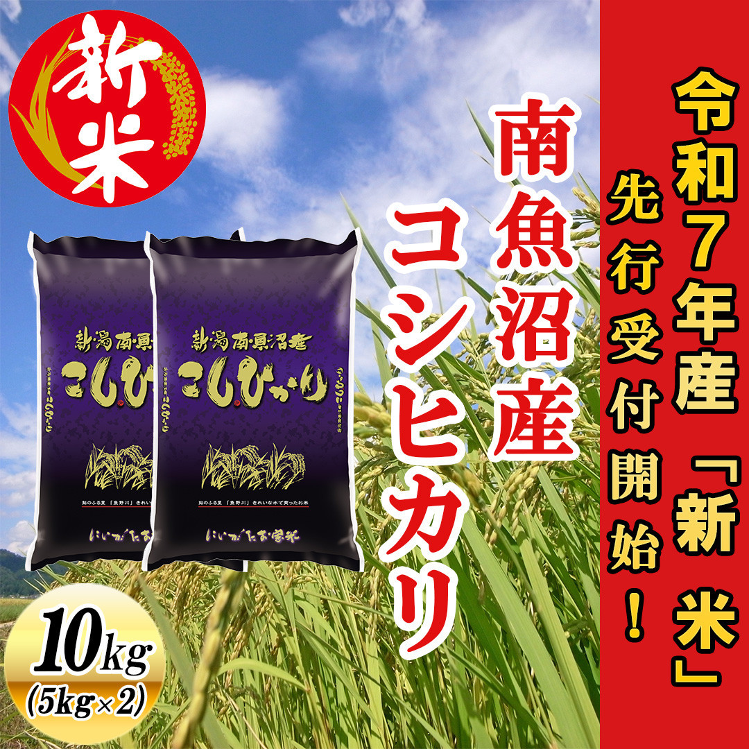 【令和7年産新米先行予約】南魚沼産コシヒカリ10kg【2025年10月下旬より順次発送予定】