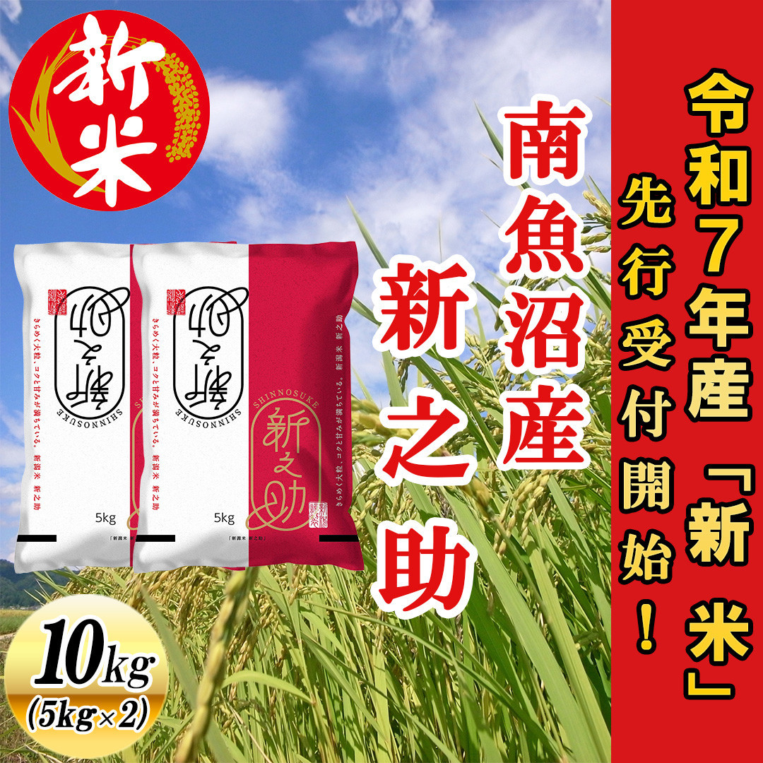 【令和7年産新米先行予約】南魚沼産新之助10kg【2025年10月下旬より順次発送予定】