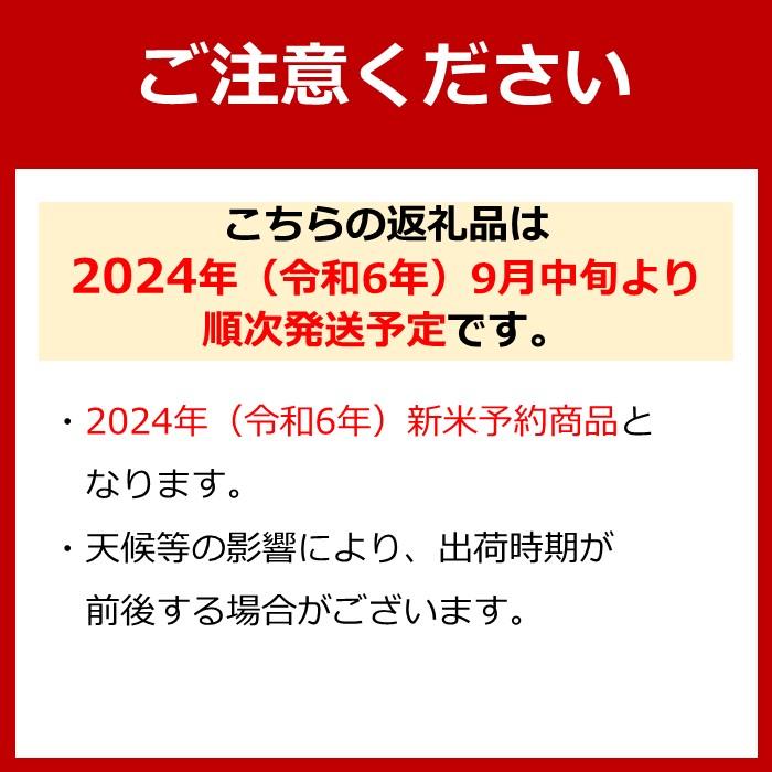 令和6年産 新米】南魚沼産コシヒカリ（無洗米）【5kg】【令和7年1月以降発送】【米 お米 こしひかり 南魚沼 米 無洗米 こめ 新潟 米】 |  新潟県南魚沼市 | JRE MALLふるさと納税