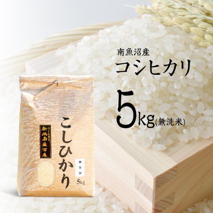【令和7年産 新米】南魚沼産コシヒカリ(無洗米)【5kg】【令和7年11月下旬以降発送】【米 お米 こしひかり 南魚沼 米 無洗米 こめ 新潟 米】