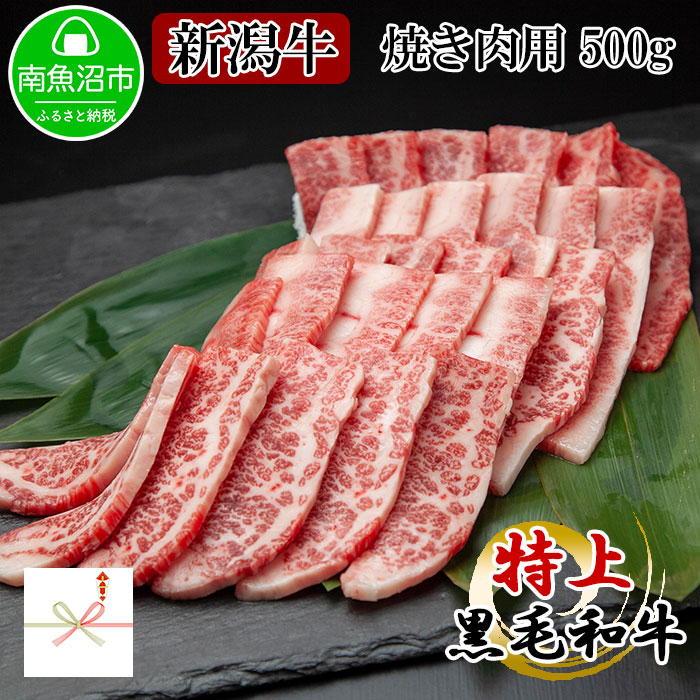 ES123 【無地熨斗】新潟和牛 南魚沼産 にいがた 黒毛和牛 焼き肉用 500g 新潟県 南魚沼市