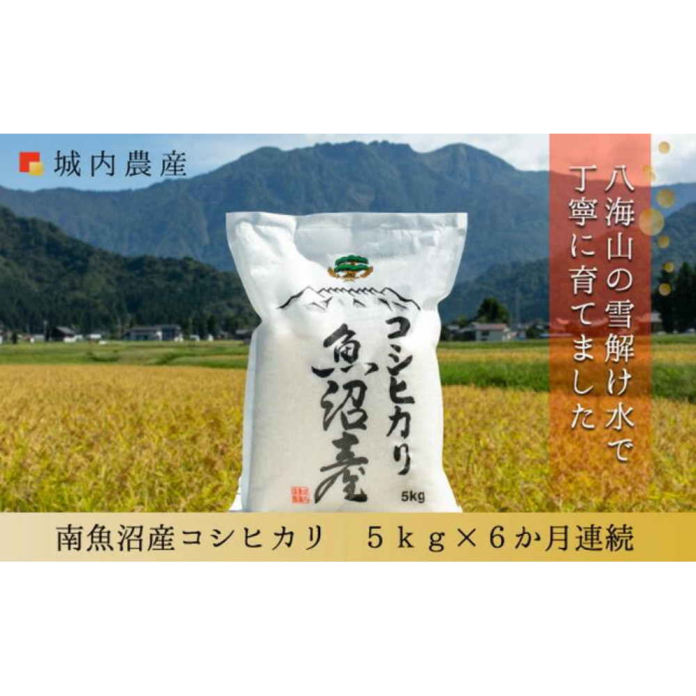[令和7年産新米予約][お米定期便/全6回]南魚沼産コシヒカリ 白米5kg[5割減農薬栽培米] 城内農産[2025年10月上旬より順次発送予定]