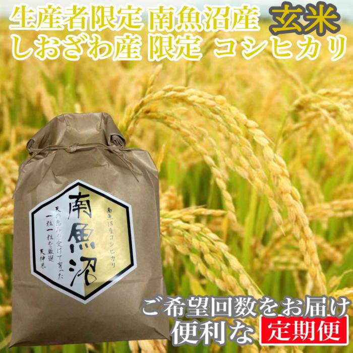 【令和7年産】【定期便20kg×12ヶ月】玄米 しおざわ産限定 生産者限定 南魚沼産コシヒカリ【2025年10月上旬より順次発送予定】