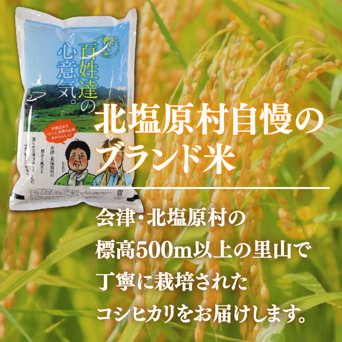 令和6年産】【新米】会津・北塩原村産「コシヒカリ」5kg（大塩棚田米・標高500ｍ里山栽培） KBK001 | 福島県北塩原村 | JRE  MALLふるさと納税