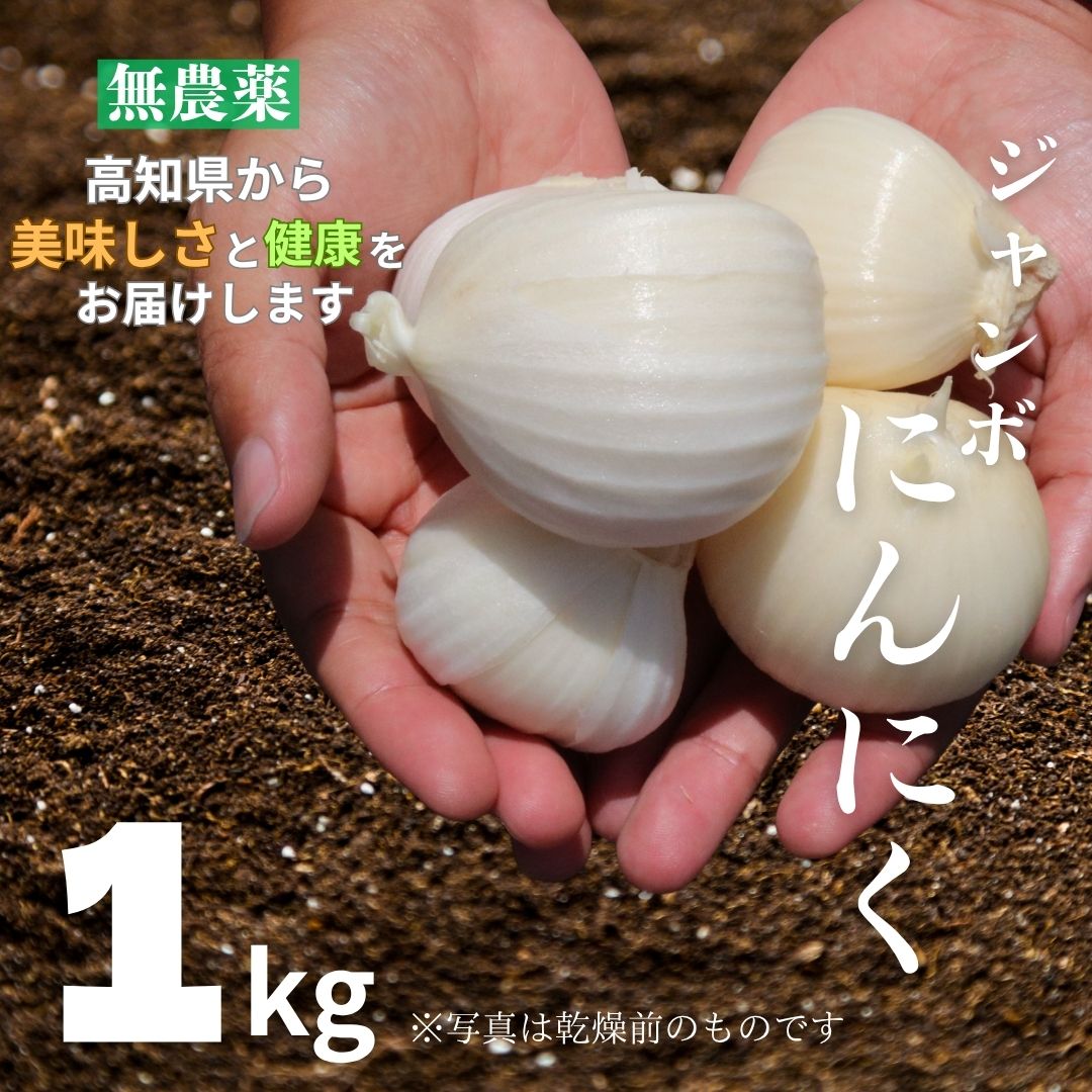[先行予約]ジャンボにんにく1kg 野菜 無農薬 国産 家庭用 にんにく