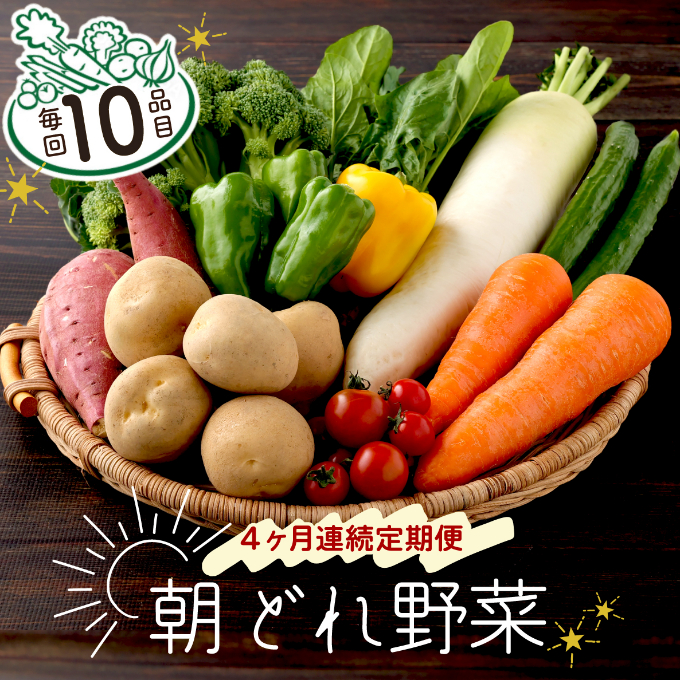 朝どれ野菜10品目[4ヶ月連続定期便] 野菜 定期便 詰め合わせ セット 野菜不足