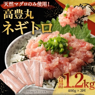 【3回定期便】【訳あり】高豊丸 ネギトロ 合計1.2kg (400g×3回) ふるさと納税限定 高品質 マグロ たたき まぐろのたたき 訳あり 寿司 小分け 海鮮丼 手巻き寿司 惣菜 規格外 不揃い 冷凍 頒布会 [tk017]