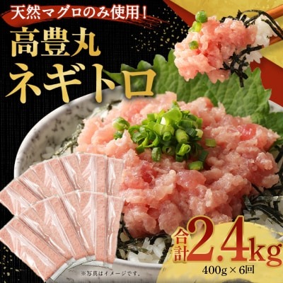 [6回定期便][訳あり]高豊丸 ネギトロ 合計2.4kg (400g×6回) ふるさと納税限定 高品質 まぐろたたき まぐろのたたき 訳あり 魚 惣菜 小分け 海鮮丼 手巻き寿司 冷凍 頒布会 [tk018]