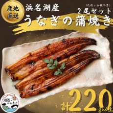 【国産】浜名湖うなぎ蒲焼き110g以上 2本セット(たれ・山椒付き)【配送不可地域:離島】【1487458】