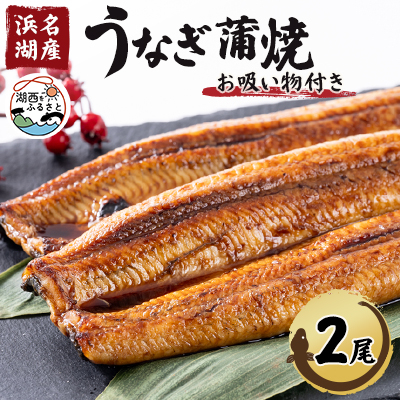【浜名湖産】うなぎ蒲焼き(真空パック)×2本　タレ・山椒・お吸い物付【配送不可地域：離島】【1398863】