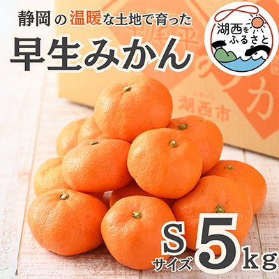 【先行受付】【11月上旬より順次出荷予定】早生みかん約5kg Sサイズ〔鈴木農園〕【1510092】