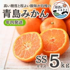 【年内発送】【12月より順次出荷予定】青島みかん約5kg SSサイズ〔鈴木農園〕【1510102】