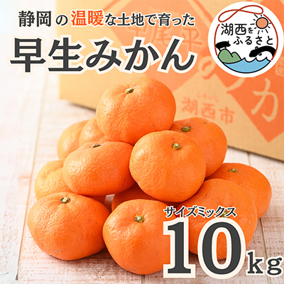 【先行受付】【11月上旬より順次出荷予定】早生みかん約10kg サイズミックス〔鈴木農園〕【1510106】