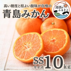 【先行受付】【2026年1月初旬頃より順次出荷予定】青島みかん約10kg SSサイズ〔鈴木農園〕【1510112】