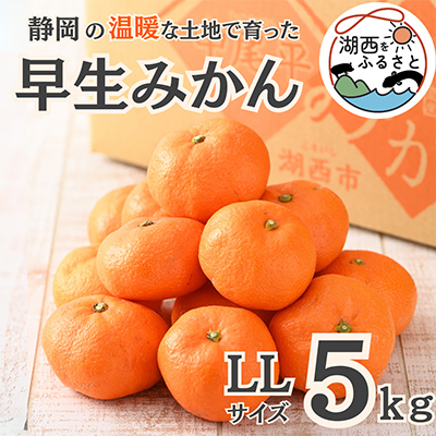 【先行受付】【11月上旬より順次出荷予定】早生みかん約5kg LLサイズ〔鈴木農園〕【1510120】