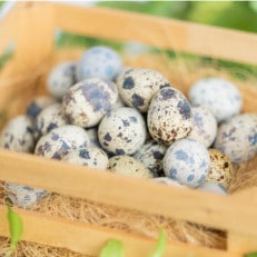 命のカプセル うずらの生卵40個【配送不可地域:離島】【1508075】