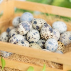 命のカプセル うずらの生卵60個【配送不可地域:離島】【1508077】