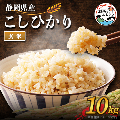 【2025年9月発送】こしひかり 玄米 10kg【1537423】