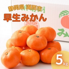 【2025年11月発送開始】浜名湖の「早生みかん」5kg【1537440】