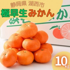 【2025年10月発送開始】浜名湖の「極早生みかん」10kg【1537441】