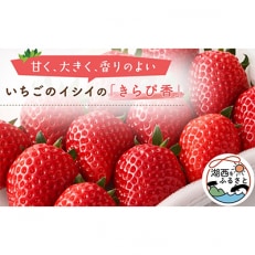 【静岡県産いちご】きらぴ香 280g×2パック【配送不可地域：離島・北海道・沖縄・東北・中国・四国・九州】【1561173】