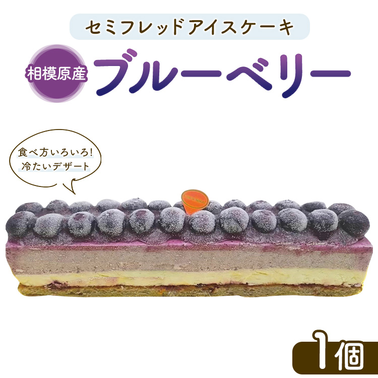 セミフレッドアイスケーキ　相模原産ブルーベリー