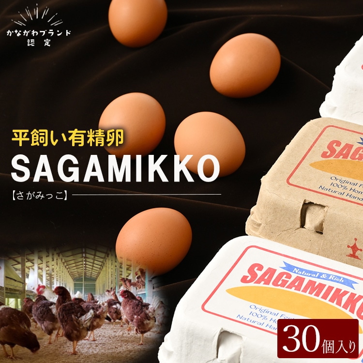 かながわブランド認定》平飼い有精卵さがみっこ 30個入 | 平飼い ケージフリー 卵 有精卵 鶏卵 玉子 たまご 生卵 国産 濃厚 コク 旨味  ※離島への配送不可 | 神奈川県相模原市 | JRE MALLふるさと納税