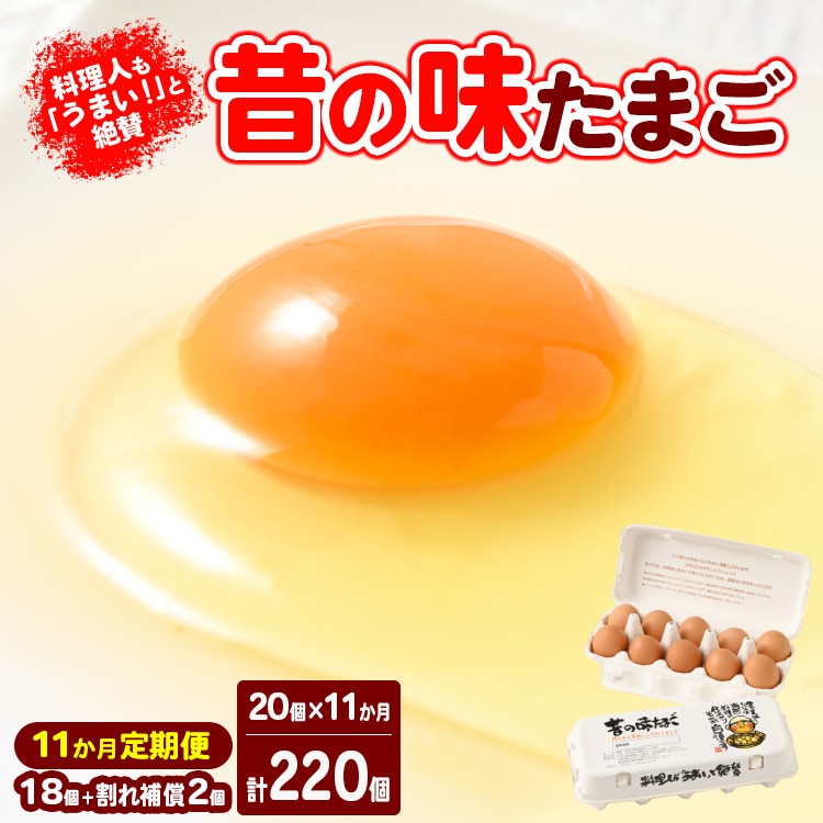 【11ヶ月定期便】料理人も「うまい!」と絶賛 昔の味たまご 20個入り(18個+割れ補償2個)×11か月| 卵 鶏卵 玉子 たまご 生卵 国産 濃厚 コク 卵かけご飯 旨味 旨み ※着日指定不可