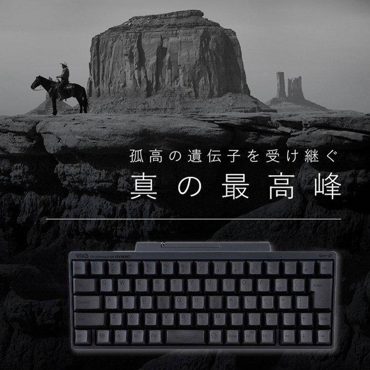 HHKB Professional HYBRID Type-S 英語配列／墨（無刻印キートップセット付） ※着日指定不可 | 神奈川県相模原市 |  JRE MALLふるさと納税