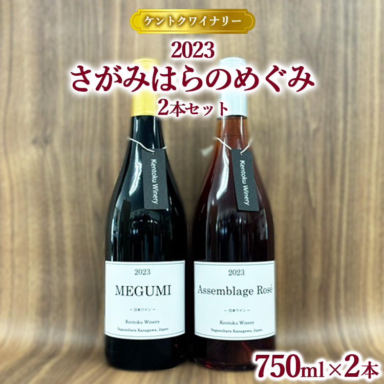 【ケントクワイナリー】2023 さがみはらのめぐみ 2本セット ※離島への配送不可