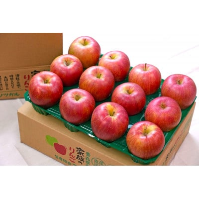 【2025年10月発送予定】平均糖度12度以上! 葉とらずサンつがる 約3kg 訳あり【配送不可地域：離島・沖縄】【1607036】