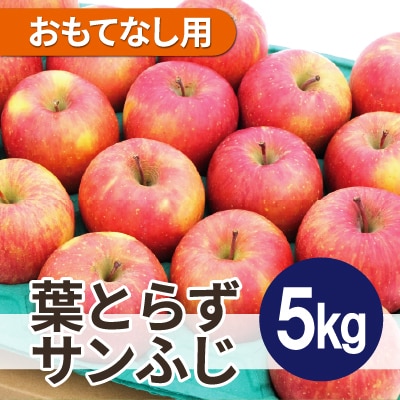 平均糖度13度以上! 葉とらずサンふじ 約5kg おもてなし用【配送不可地域：離島・沖縄】【1612857】