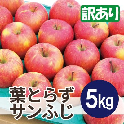 平均糖度13度以上! 葉とらずサンふじ 約5kg 訳あり【配送不可地域：離島・沖縄】【1612859】