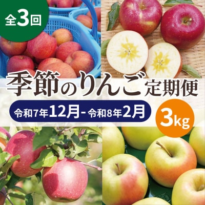 【発送月固定定期便】【25年12月~26年2月】青森りんご 訳あり 品種おまかせ 3kg全3回【配送不可地域:離島・沖縄】【4066848】