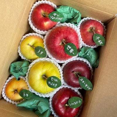 先行受付【青森市産・5品種詰め合わせ】約3kg(家庭用)【配送不可地域：離島・沖縄】【1181958】