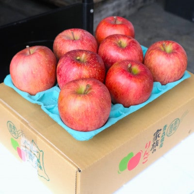 【2025年12月発送予定】糖度13度以上保証!サンふじおもてなし用約3kg(6～18玉)【配送不可地域：離島】【1682180】