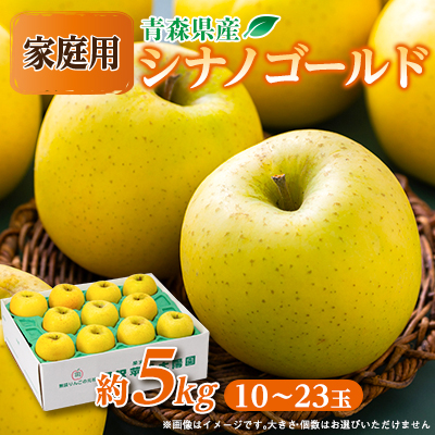 青森市産りんご「シナノゴールド」約5kg(家庭用)【配送不可地域：離島・沖縄】【1272642】