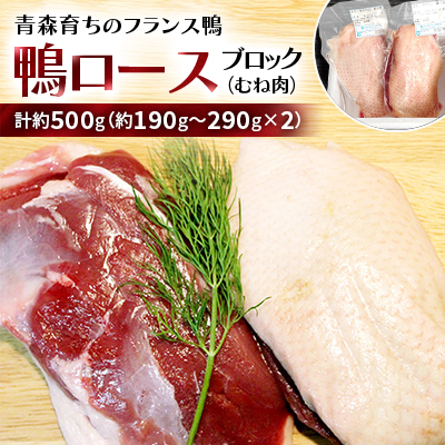 鴨ロースブロック(むね肉)約500g【配送不可地域:離島】【1106346】